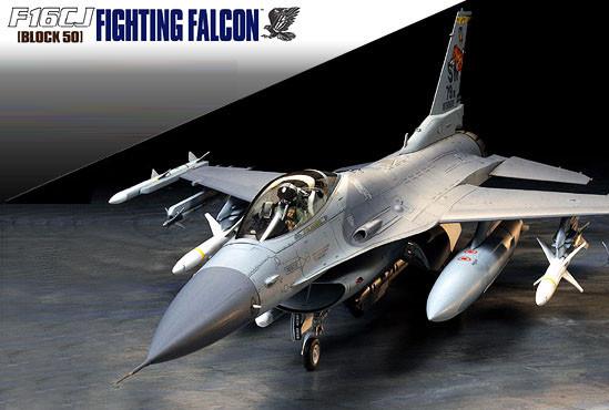 Tamiya Aircraft 1/32 F16CJ Block 50 Fighting Falcon Aircraft Kit – Model  Airplane Depot