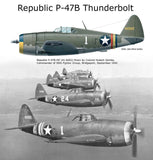 Dora Wings 1/48 Republic P47B Thunderbolt Aircraft Kit