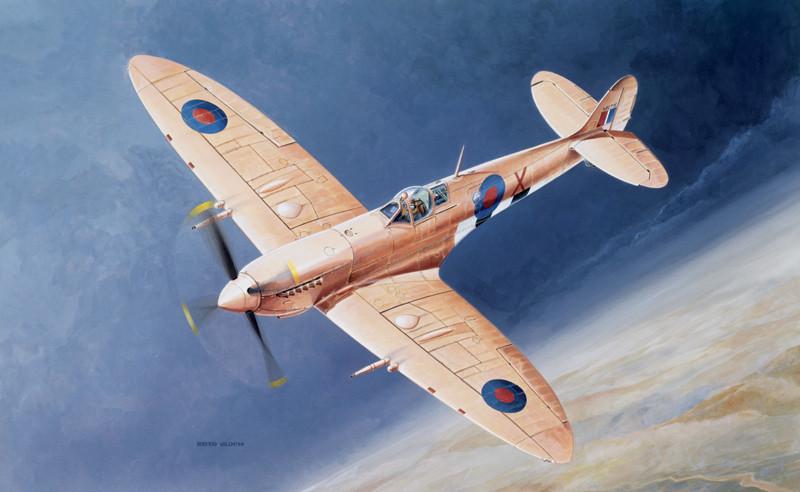 Italeri 1/48 Spitfire Mk IX WWII Fighter Kit