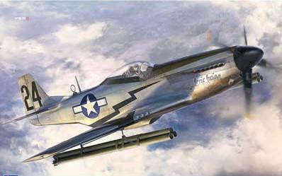Hasegawa 1/32 P51D Mustang USAAF Bomber w/Rocket Tubes Ltd. Edition Kit
