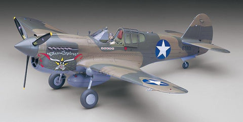 Hasegawa 1/32 P40E Texas Longhorn US Fighter Kit