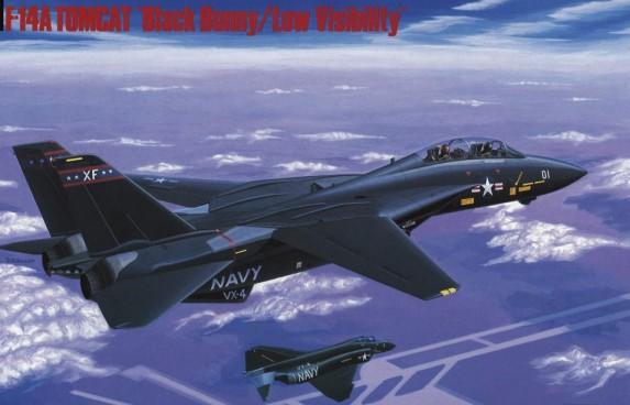 Hasegawa 1/72 F14A Tomcat Black Bunny Low Visibility Fighter Ltd Edition Kit