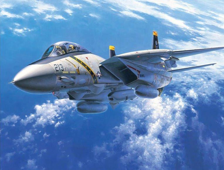 Hasegawa 1/48 F14A Tomcat USN Fighter Kit